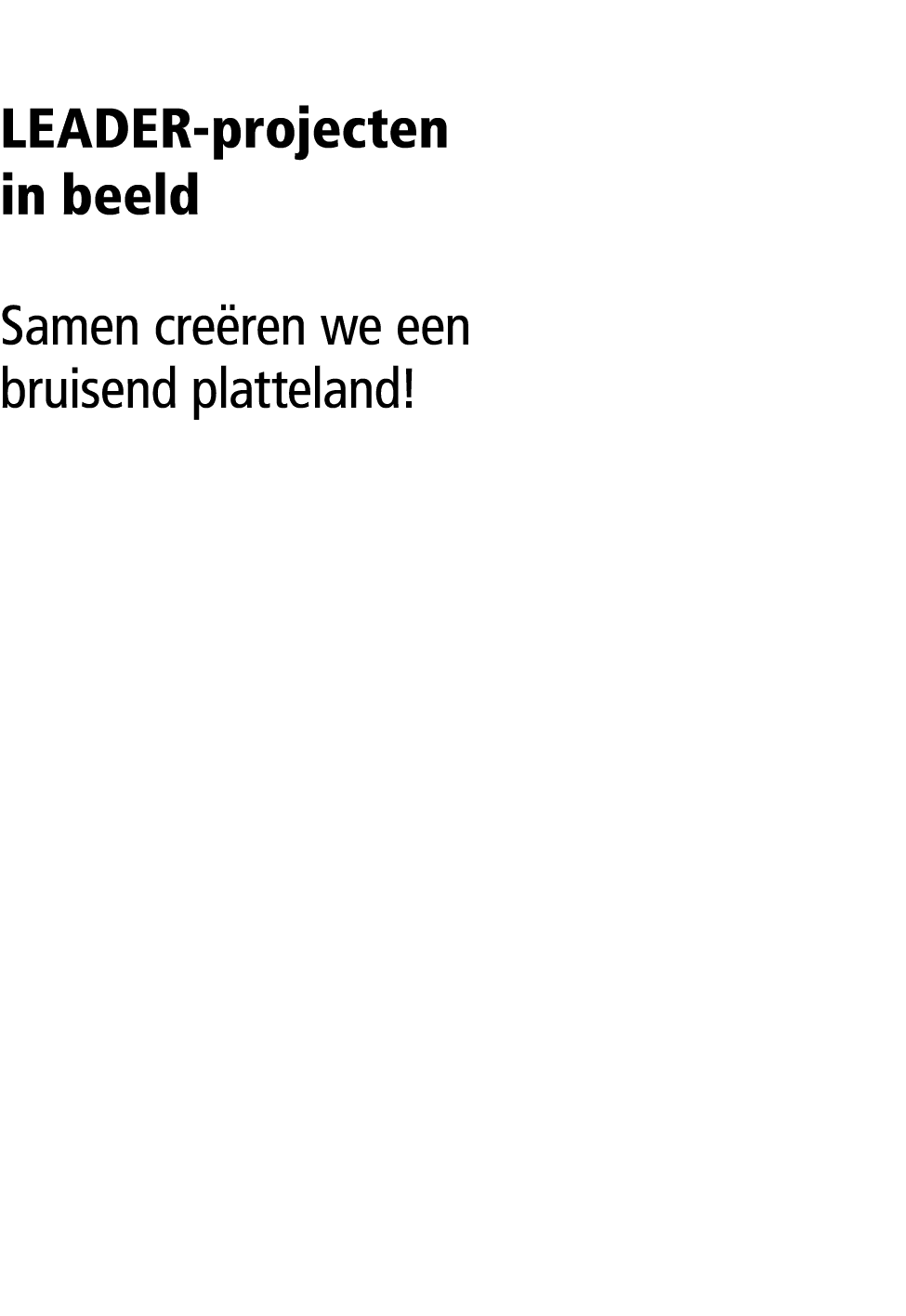 LEADER-projecten in beeld Samen cre ren we een bruisend platteland!