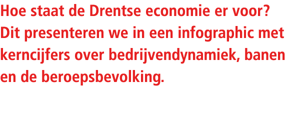 Hoe staat de Drentse economie er voor? Dit presenteren we in een infographic met kerncijfers over bedrijvendynamiek, ...
