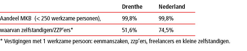  * Vestigingen met 1 werkzame persoon: eenmanszaken, zzp’ers, freelancers en kleine zelfstandigen.