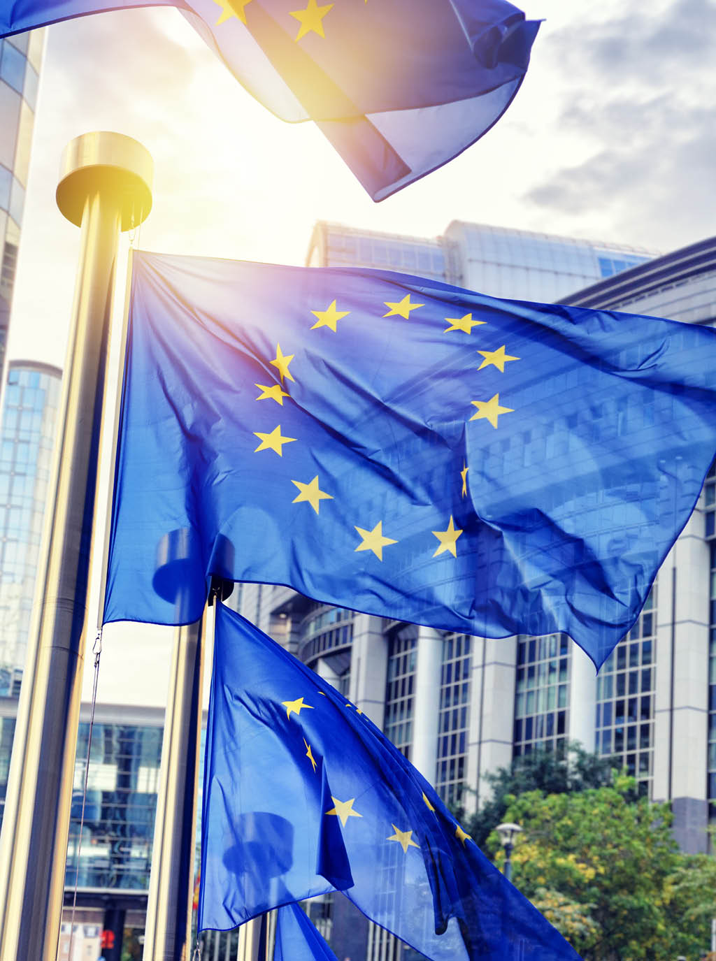 EU flags waving in front of European Parliament building. Brussels, Belgium