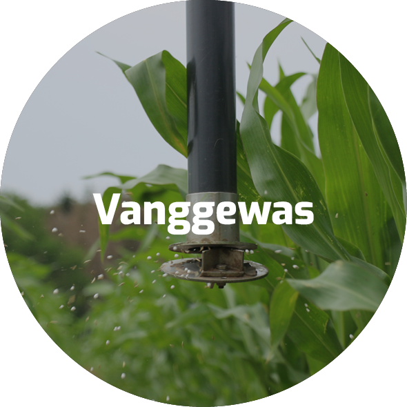 $$$/StateType/Normal